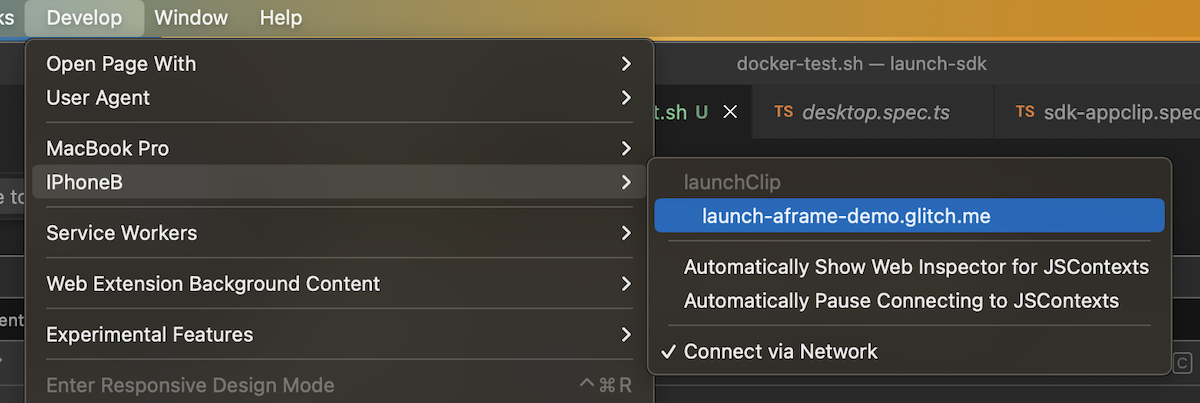 Safari Dev Tools showing the Launch Viewer page